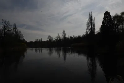 DSC_6885 (Large).JPG